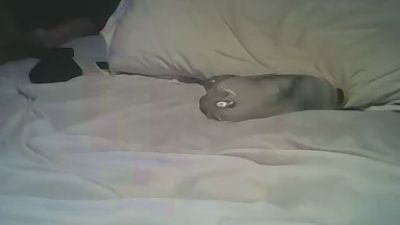 Lingerieass live from South Africa