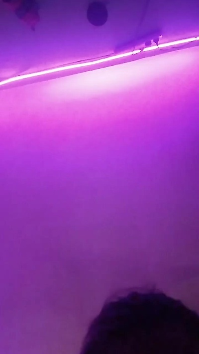 Misticmountains live from Argentina