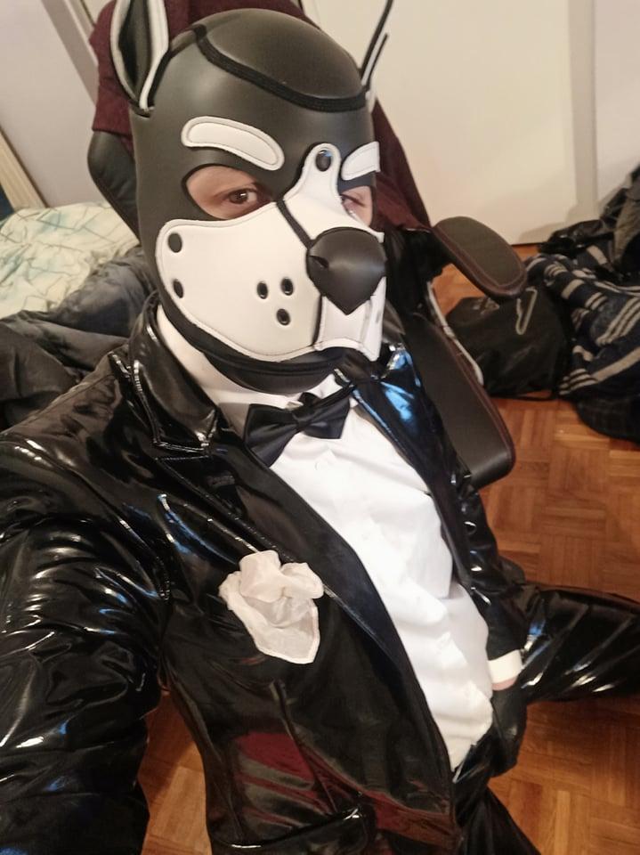 Suitedpup live from France