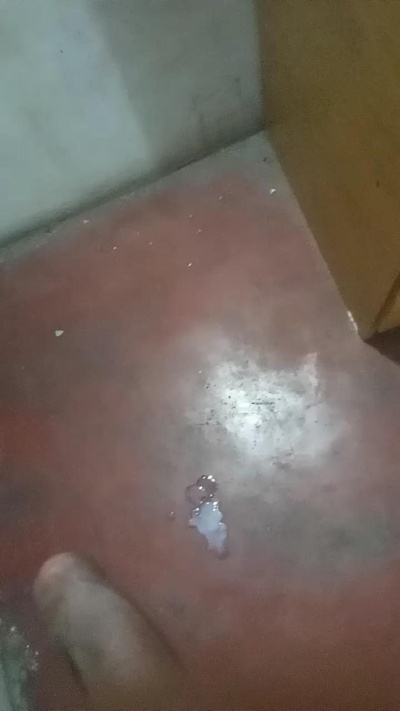 alejandro320320 live from Argentina
