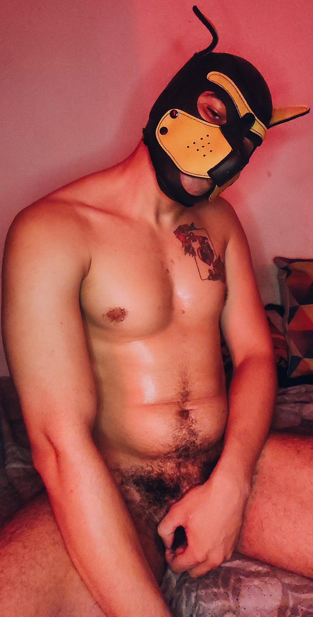 badpuppy96 live from Brazil