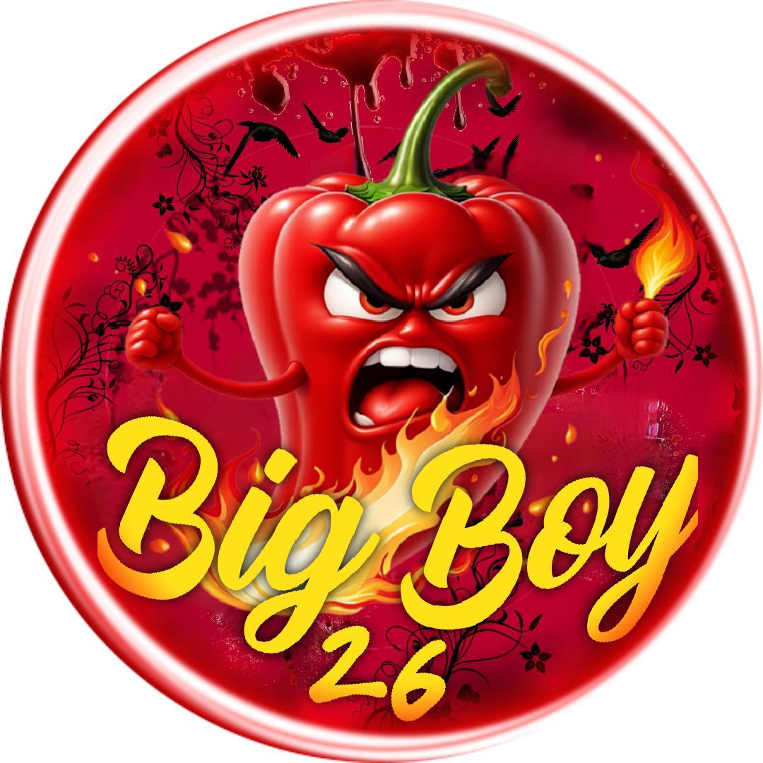 bigboycock26 live from Italy
