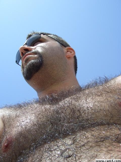 cedric_bear live from France