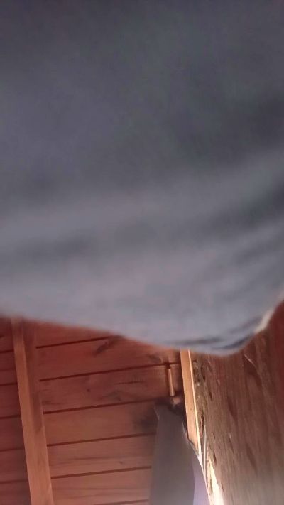 luli70hot live from Argentina