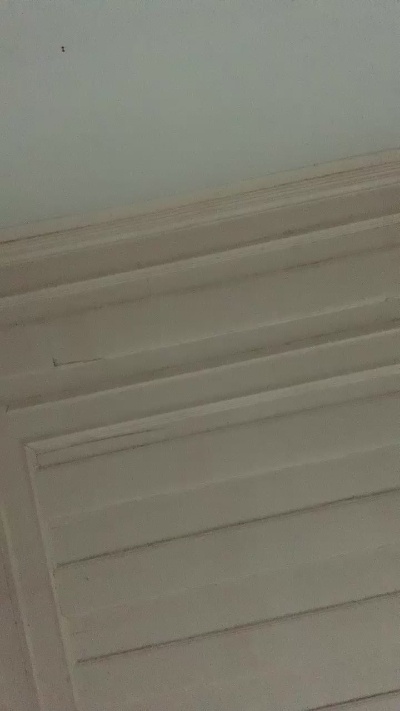 moongiu live from Brazil