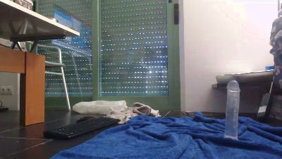 perritoalicant4 live from Spain