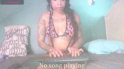stella_clitella live from United States