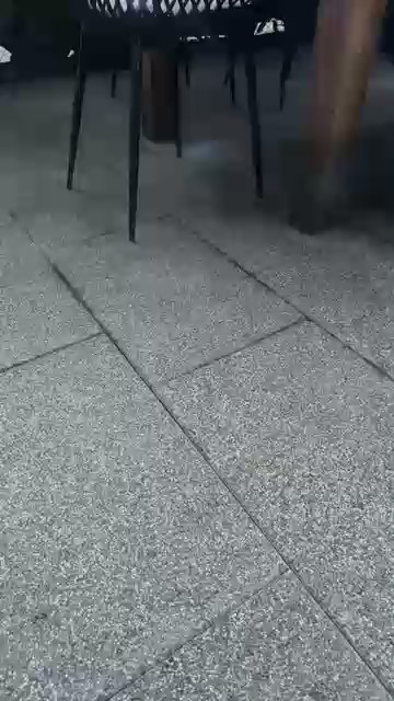 tomtailerhot live from Germany